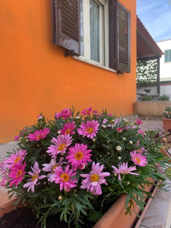 Casa Mare Al Circeo Villa San Felice Circeo Exterior photo